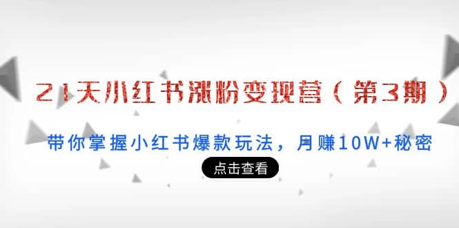 21天小红书涨粉变现营（第3期）：带你掌握小红书爆款玩法，月赚10W+秘密_网创掘金