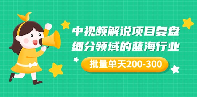 某付费文章：中视频解说项目复盘：细分领域的蓝海行业 批量单天200-300收益_网创掘金