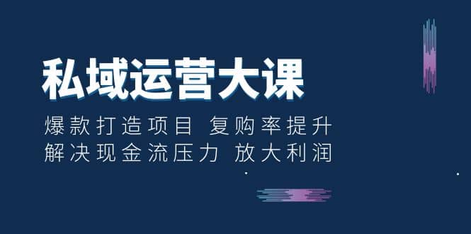 私域运营大课：爆款打造项目 复购率提升 解决现金流压力 放大利润_网创掘金