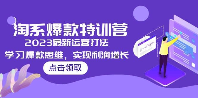 2023淘系爆款特训营，2023最新运营打法，学习爆款思维，实现利润增长_网创掘金