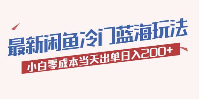 2023最新闲鱼冷门蓝海玩法，小白零成本当天出单日入200+_网创掘金