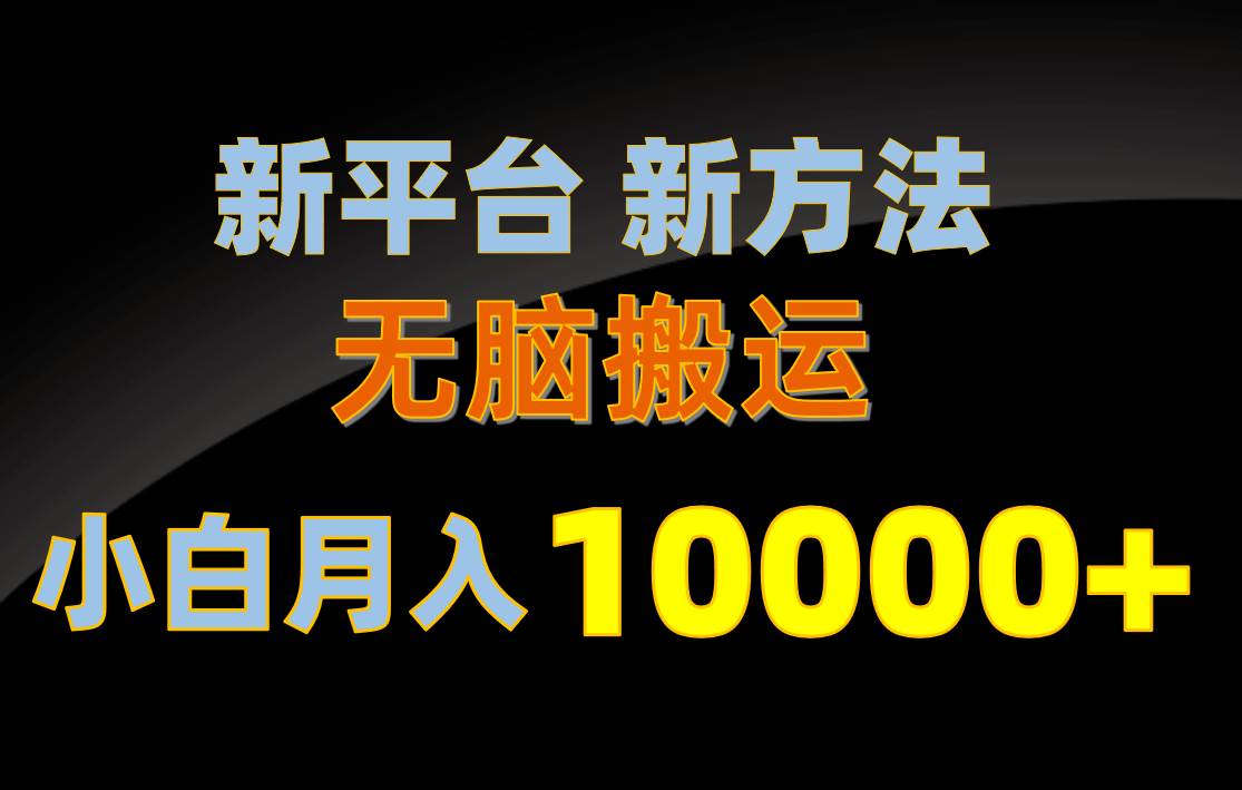 新平台新方法，无脑搬运，月赚10000+，小白轻松上手不动脑_网创掘金