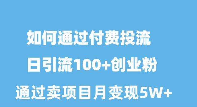 如何通过付费投流日引流100+创业粉月变现5W+_网创掘金