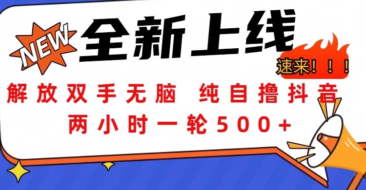 解放双手无脑 纯自撸抖音 两小时一轮500+_网创掘金