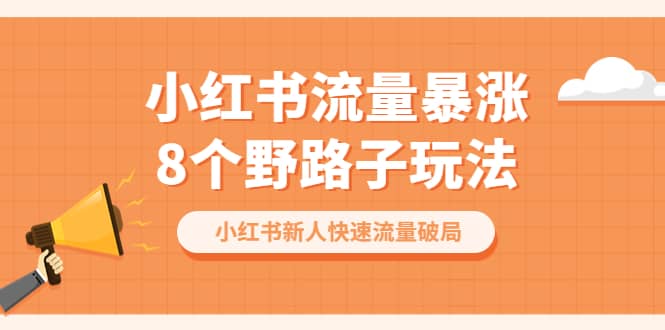 小红书流量-暴涨8个野路子玩法：小红书新人快速流量破局（8节课）_网创掘金