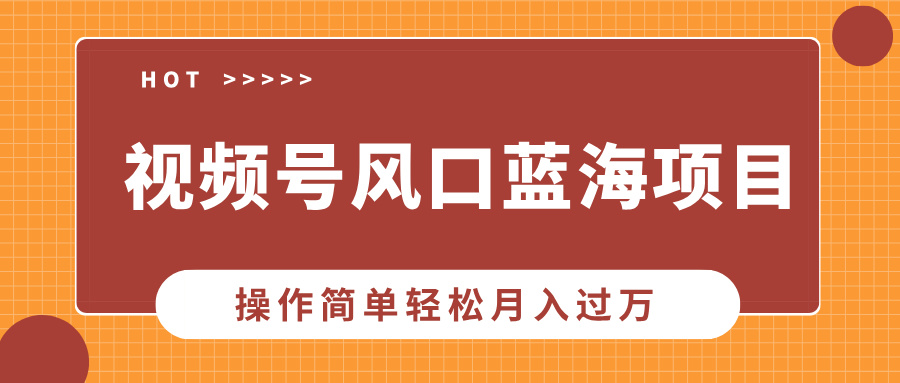 视频号风口蓝海项目，中老年人的流量密码，操作简单轻松月入过万_网创掘金