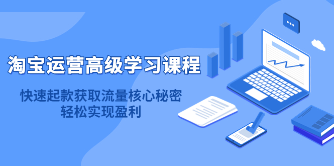 淘宝运营高级学习课程：快速获取流量核心秘密，轻松实现盈利！_网创掘金