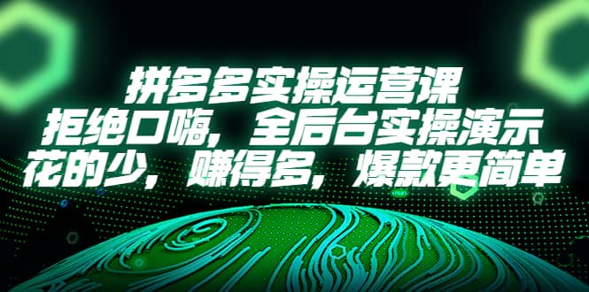 拼多多实操运营课：拒绝口嗨，全后台实操演示，花的少，赚得多，爆款更简单_网创掘金