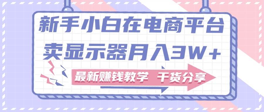 新手小白如何做到在电商平台卖显示器月入3W+，最新赚钱教学干货分享_网创掘金