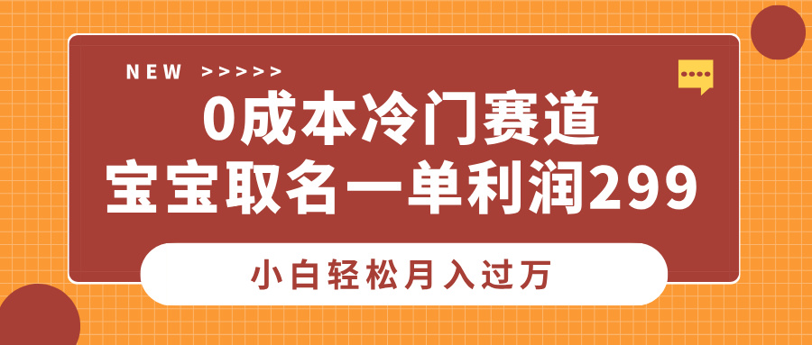 0成本冷门赛道，宝宝取名一单利润299，小白轻松月入过万_网创掘金