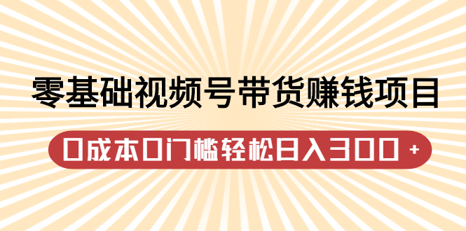 零基础视频号带货赚钱项目，0成本0门槛轻松日入300+【视频教程】_网创掘金