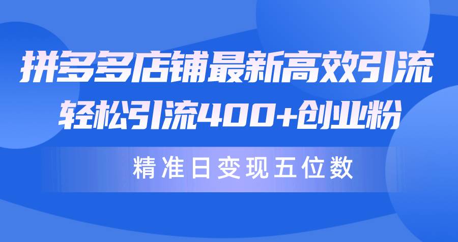 拼多多店铺最新高效引流术，轻松引流400+创业粉，精准日变现五位数！_网创掘金