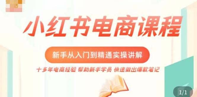 小红书电商新手入门到精通实操课，从入门到精通做爆款笔记，开店运营_网创掘金