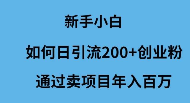 新手小白如何日引流200+创业粉通过卖项目年入百万_网创掘金