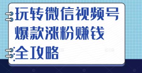 玩转微信视频号爆款涨粉赚钱全攻略，让你快速抓住流量风口，收获红利财富_网创掘金
