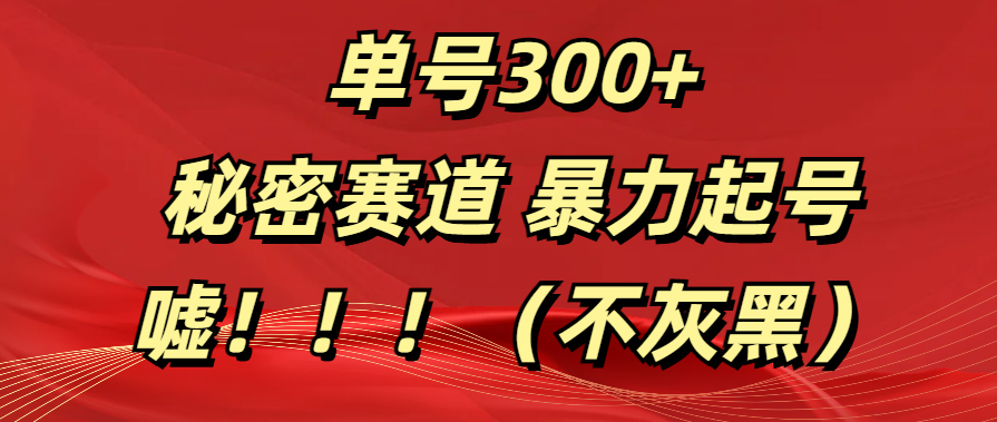 单号300+  秘密赛道 暴力起号  （不灰黑）_网创掘金