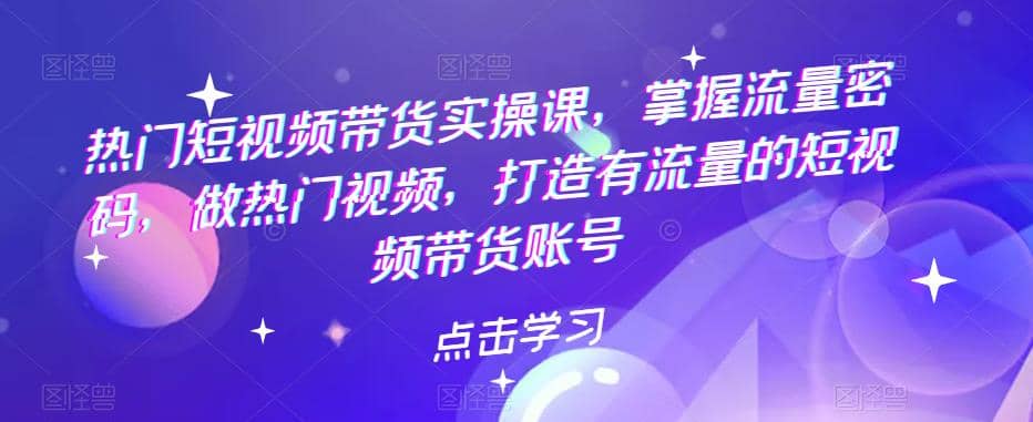 热门短视频带货实战 掌握流量密码 做热门视频 打造有流量的短视频带货账号_网创掘金
