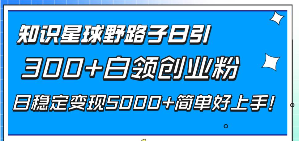 知识星球野路子日引300+白领创业粉，日稳定变现5000+简单好上手！_网创掘金