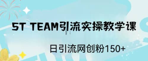 ST TEAM引流实操课，日引流网创粉100+_网创掘金