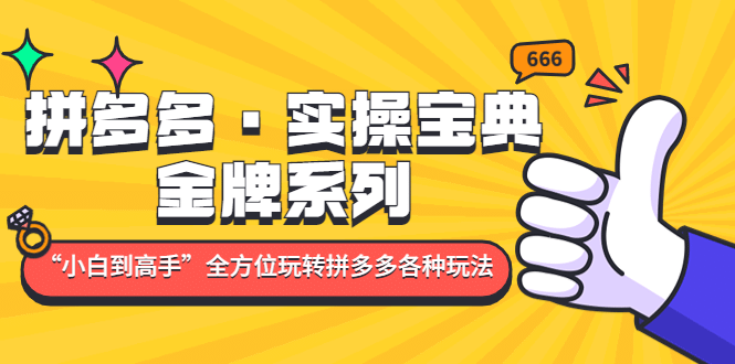 拼多多·实操宝典：金牌系列“小白到高手”带你全方位玩转拼多多各种玩法_网创掘金