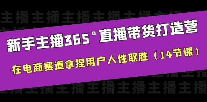 新手主播365°直播带货·打造营，在电商赛道拿捏用户人性取胜（14节课）_网创掘金