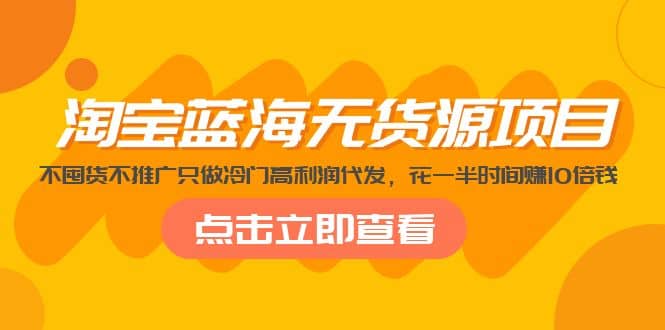 淘宝蓝海无货源项目，不囤货不推广只做冷门高利润代发_网创掘金