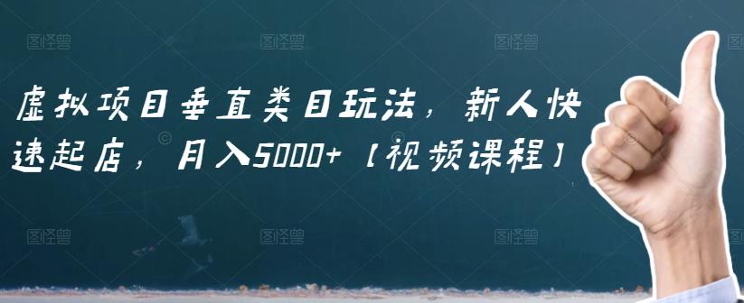 虚拟项目垂直类目玩法，新人快速起店，月入5000+【视频课程】_网创掘金