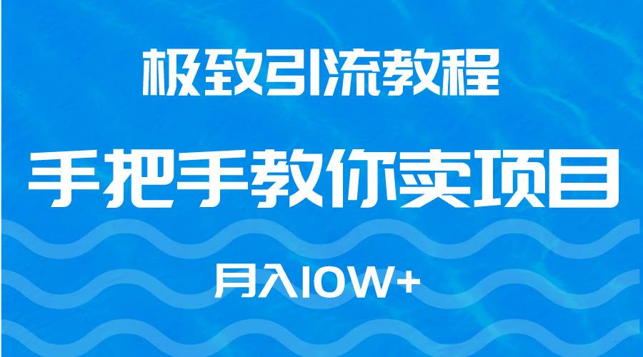 极致引流教程，手把手教你卖项目，月入10W+_网创掘金