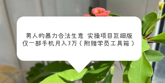 男人的暴力合法生意实操项目巨细版：仅一部手机月入3w（附赠学员工具箱）_网创掘金