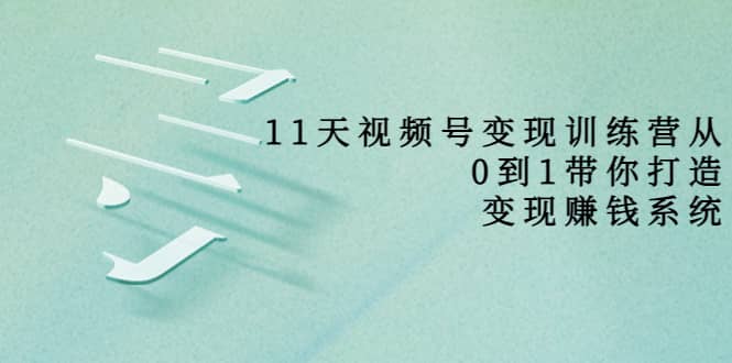 好望角·11天视频号变现训练营，从0到1打造变现赚钱系统（价值398）_网创掘金