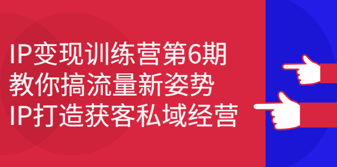 IP变现训练营第6期：教你搞流量新姿势，IP打造获客私域经营_网创掘金