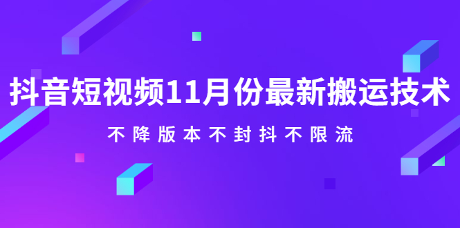 抖音短视频11月份最新搬运技术，不降版本不封抖不限流！【视频课程】_网创掘金