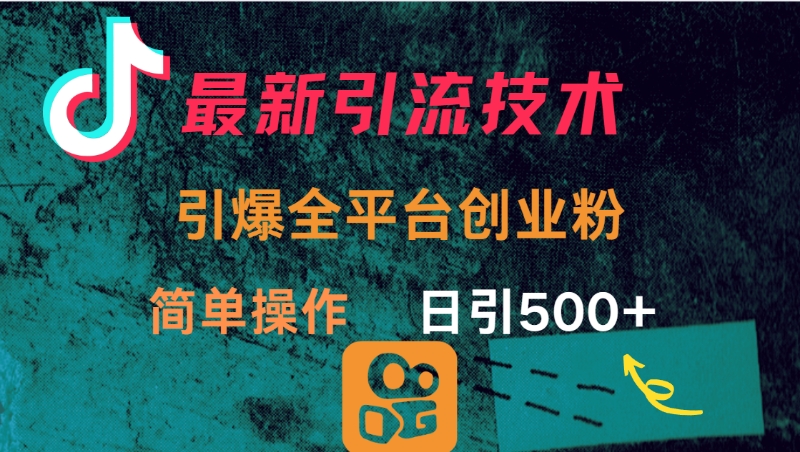 最新引流方法，引爆全平台创业粉操作简单，日引300＋_网创掘金