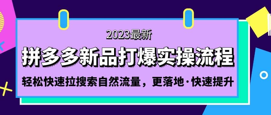 拼多多-新品打爆实操流程：轻松快速拉搜索自然流量，更落地·快速提升_网创掘金