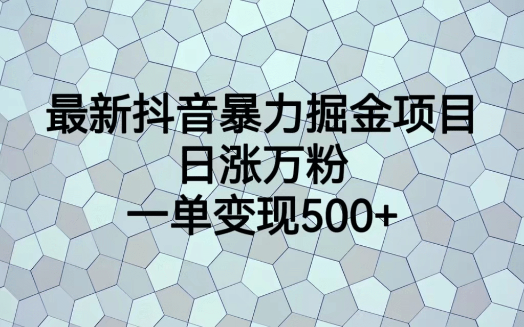 最火热的抖音暴力掘金项目，日涨万粉，多种变现方式，一单变现可达500+_网创掘金