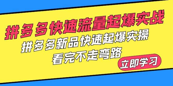 拼多多-快速流量起爆实战，拼多多新品快速起爆实操，看完不走弯路_网创掘金