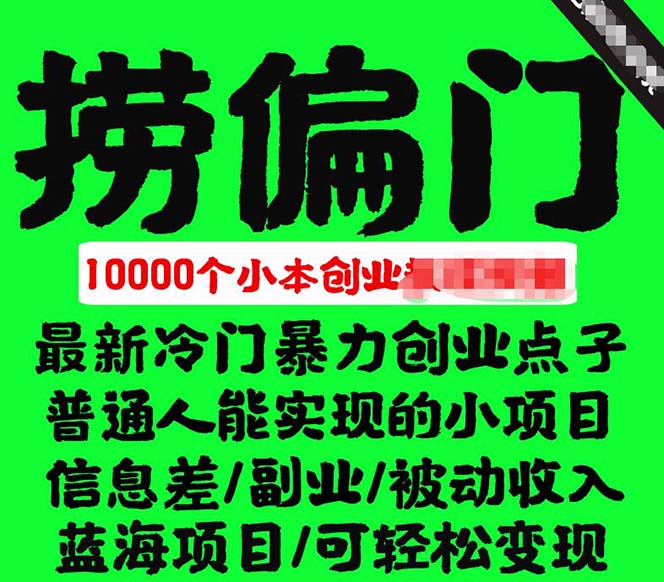 千款捞偏门小本创业小项目，总有一款适合你【无水印】_网创掘金