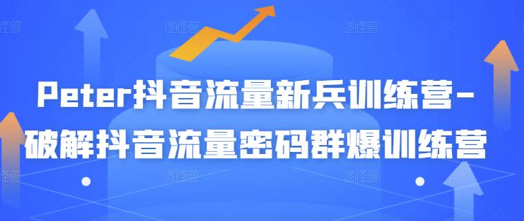 Peter抖音流量新兵训练营-破解抖音流量密码群爆训练营（新兵）_网创掘金