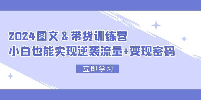 2024 图文+带货训练营，小白也能实现逆袭流量+变现密码_网创掘金