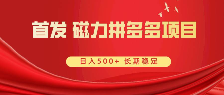 首发 磁力拼多多自撸  日入500+_网创掘金