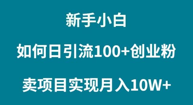 新手小白如何通过卖项目实现月入10W+_网创掘金