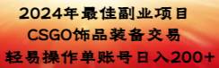 2024年最佳副业项目 CSGO饰品装备交易 轻易操作单账号日入200+_网创掘金