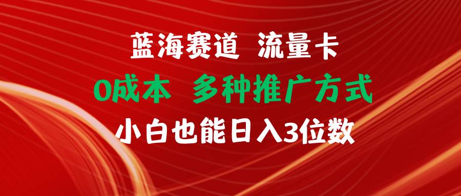 蓝海赛道 流量卡 0成本 小白也能日入三位数_网创掘金