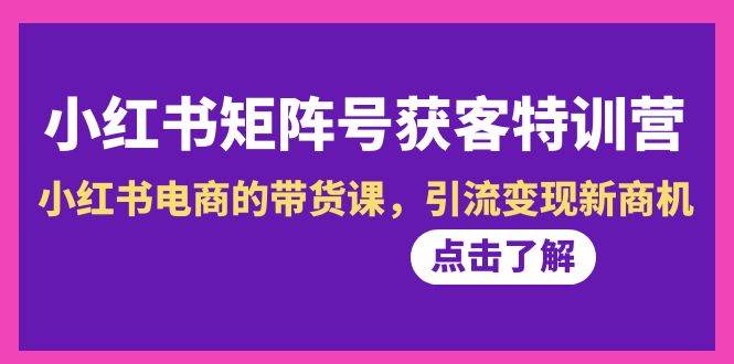 小红书-矩阵号获客特训营-第10期，小红书电商的带货课，引流变现新商机_网创掘金