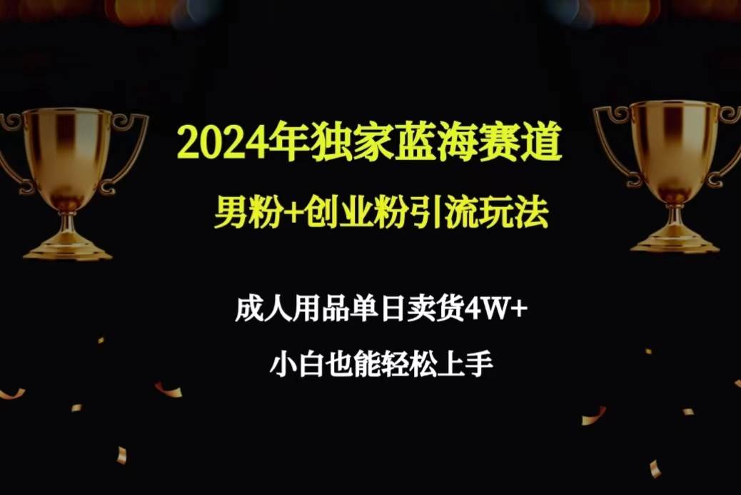 2024年独家蓝海赛道男粉+创业粉引流玩法，成人用品单日卖货4W+保姆教程_网创掘金
