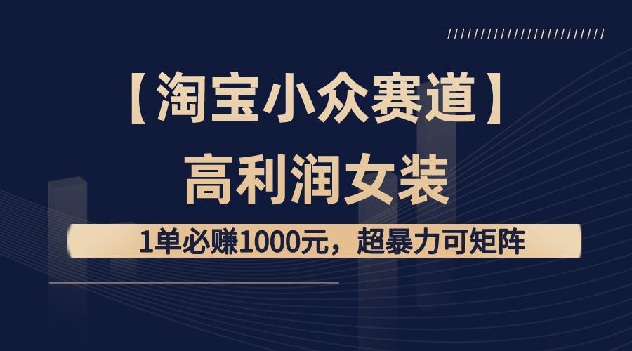 【淘宝小众赛道】高利润女装：1单必赚1000元，超暴力可矩阵_网创掘金