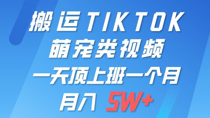 一键搬运TIKTOK萌宠类视频 一部手机即可操作 所有平台均可发布 轻松月入5W+_网创掘金
