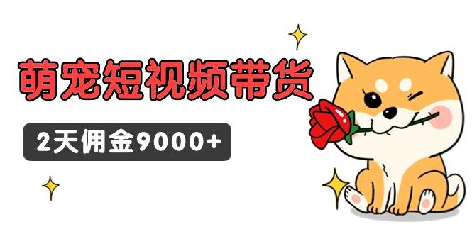 东哲日记·萌宠短视频带货，2天佣金9000+_网创掘金