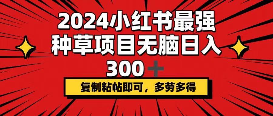 2024小红书最强种草项目，无脑日入300+，复制粘帖即可，多劳多得_网创掘金
