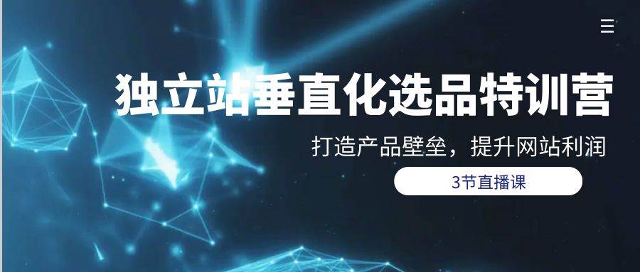 独立站-垂直化选品训练营，打造产品壁垒，提升网站利润（3节直播课）_网创掘金